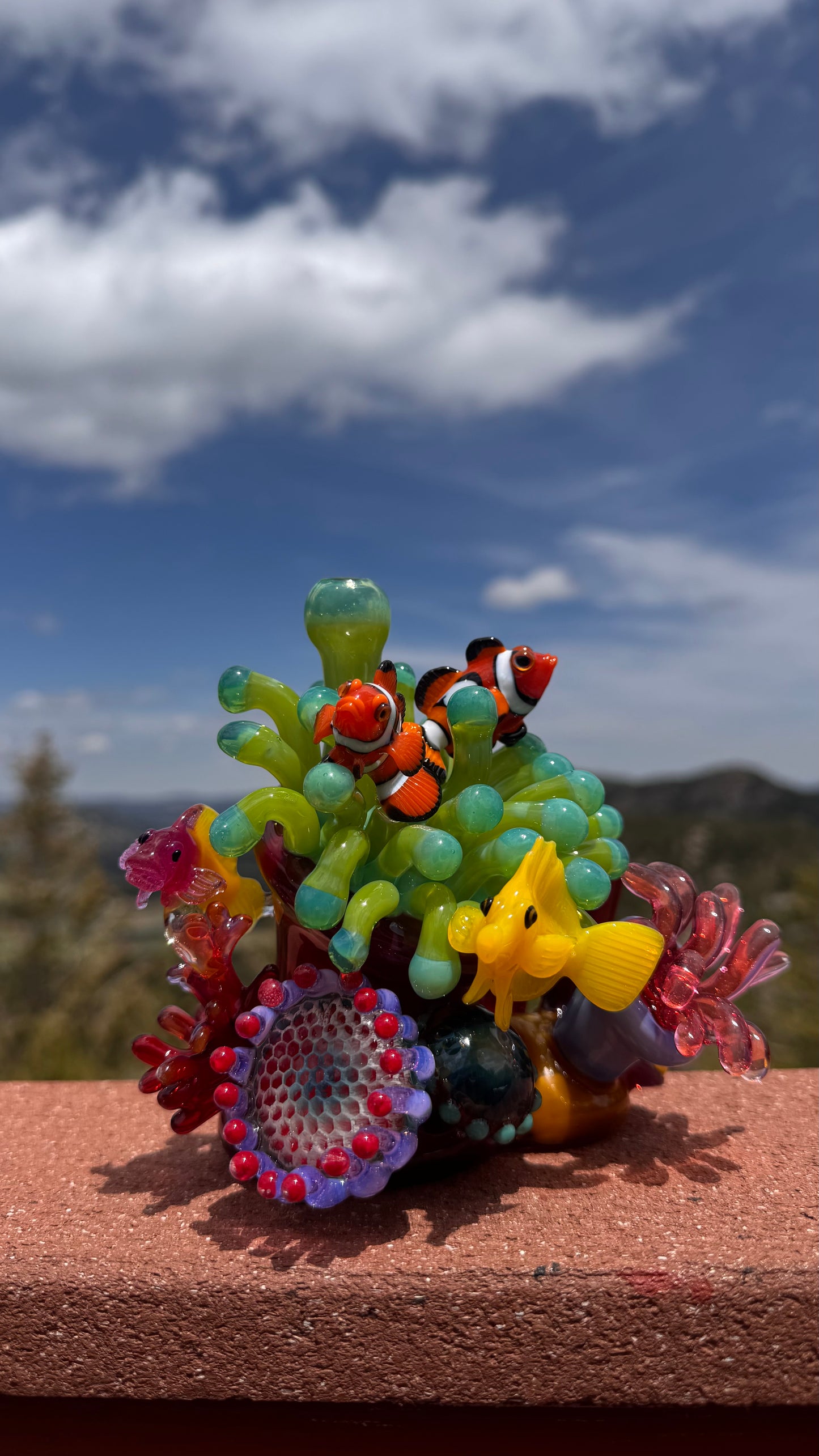 Sealife Coral Rig