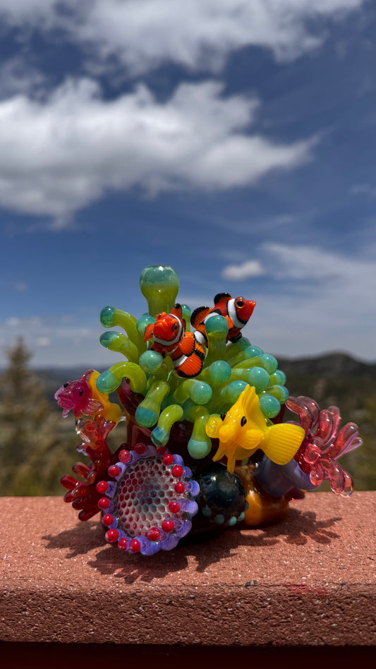 Sealife Coral Rig