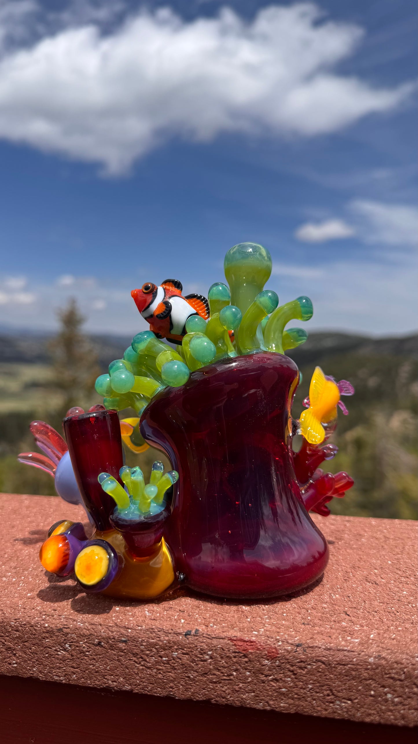 Sealife Coral Rig