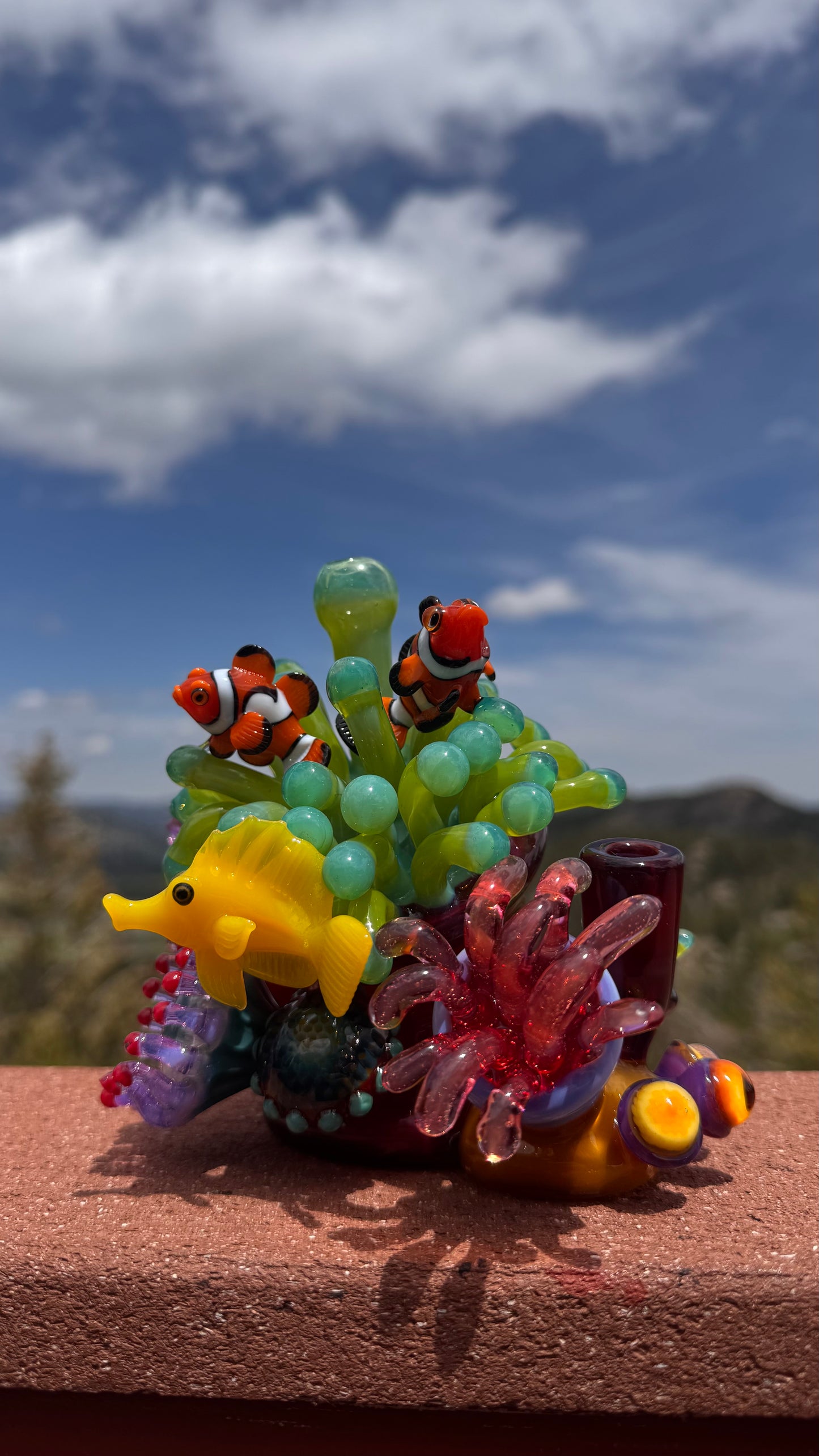 Sealife Coral Rig